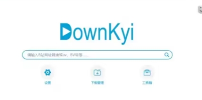 DownKyi